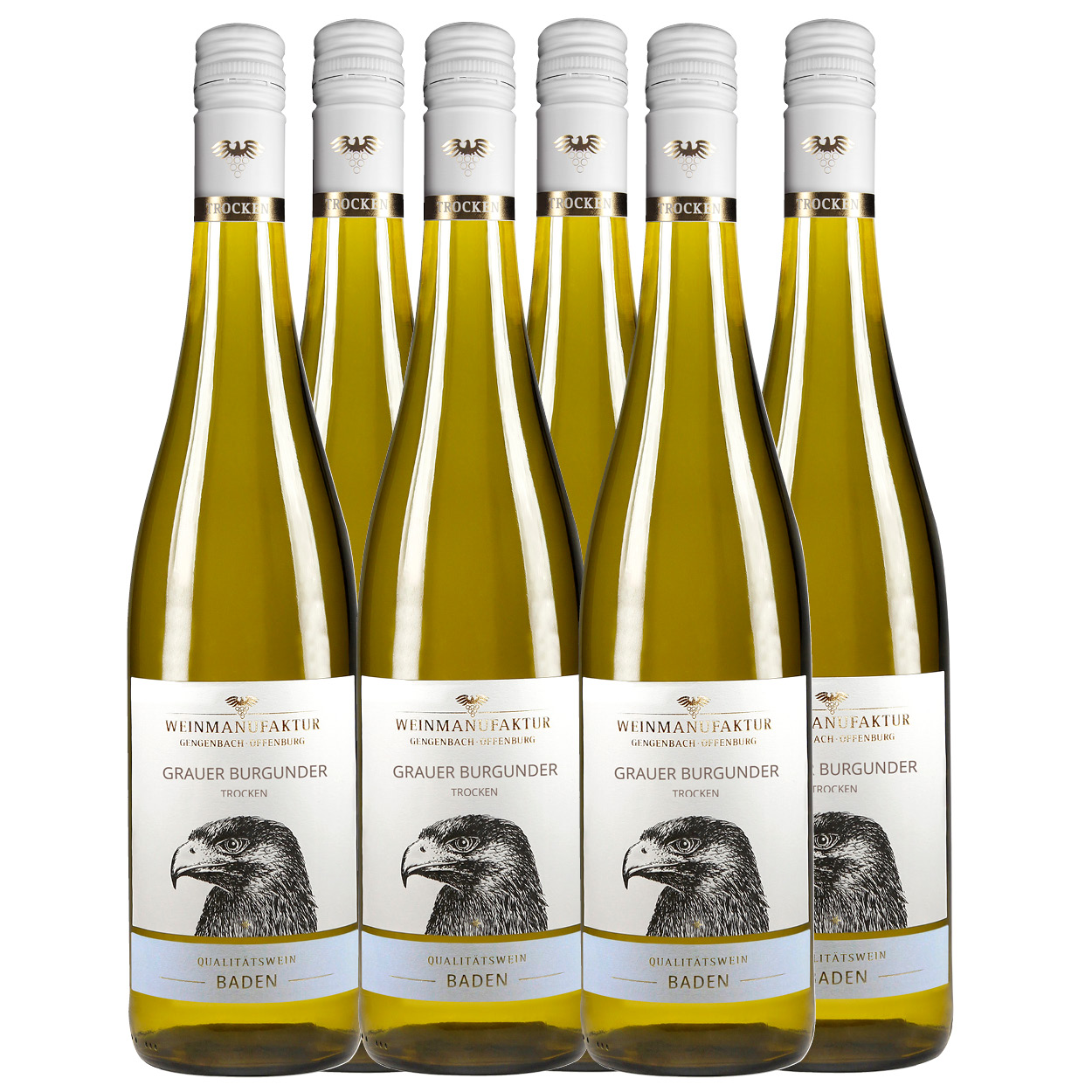 Grauer Burgunder Kartonaktion